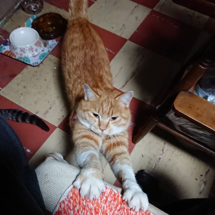 52ac2edb 637d 48e9 86f6 3b688c8afc47 1576355403226