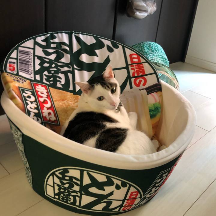 52ac60e1 5b71 41a4 a383 7dd014c243fc 1616507617558