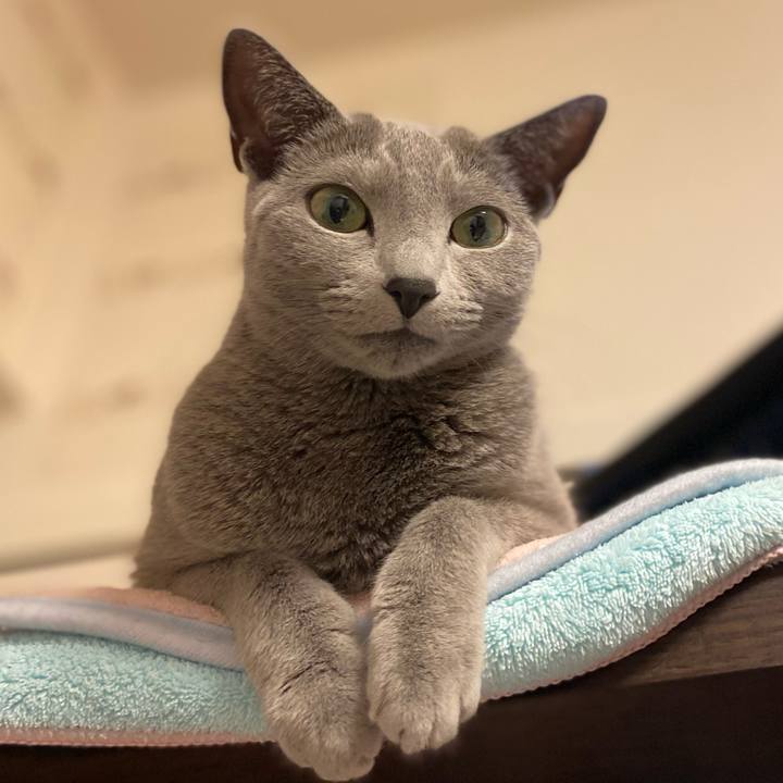 52ac8c12 fa74 4216 a846 7155ce01bd7e 1651707067730