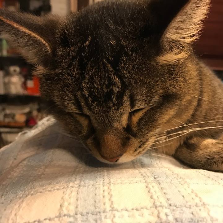 52acbd06 e5c9 4676 8c8a 7ae544678944 1532865537670