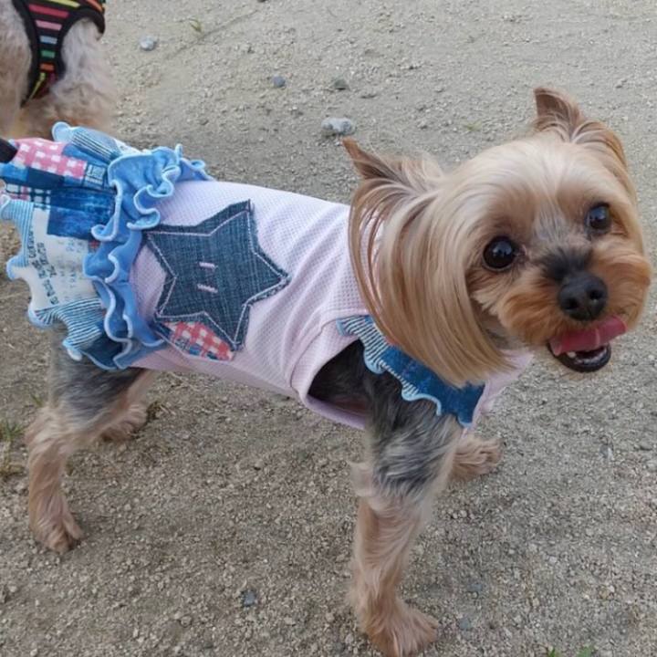 52acf602 b2b1 4ad3 839e 5f7d30500131 1623280251139