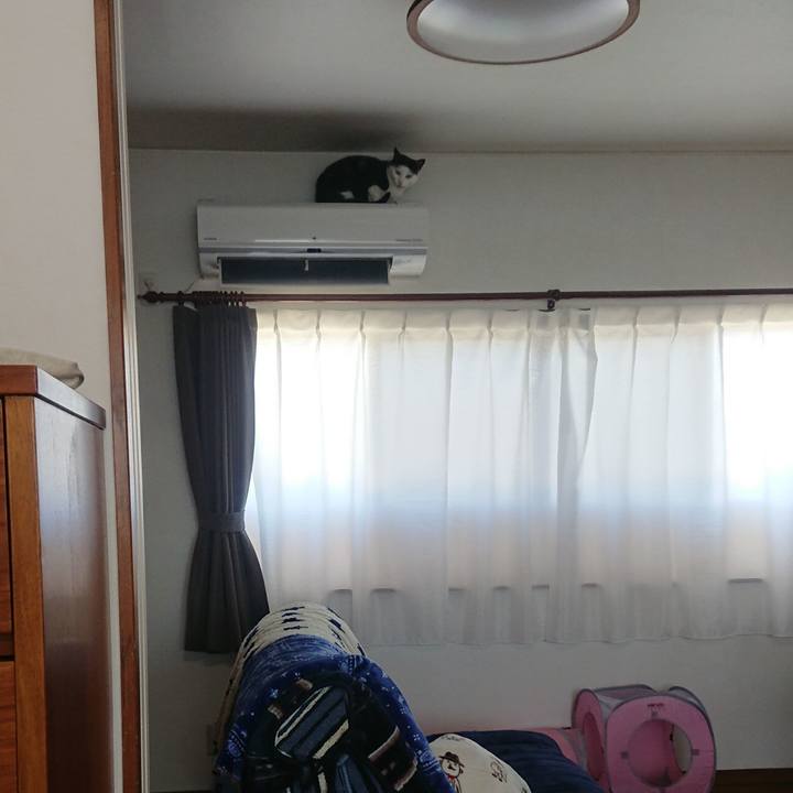 52ad33d2 8ce5 4122 a641 6f147fb7b9b2 1554816487191