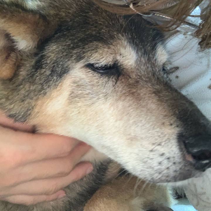 52ad3a85 73a2 4e57 be57 679cc65019c6 1564063829176