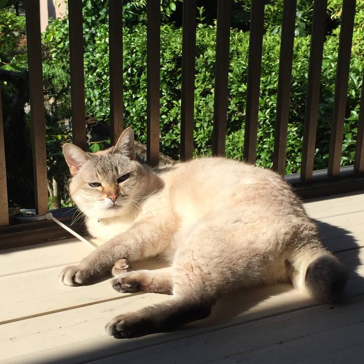 52ad5e5f f176 4d6a b3be 6b78cbc040b3 1526858792365