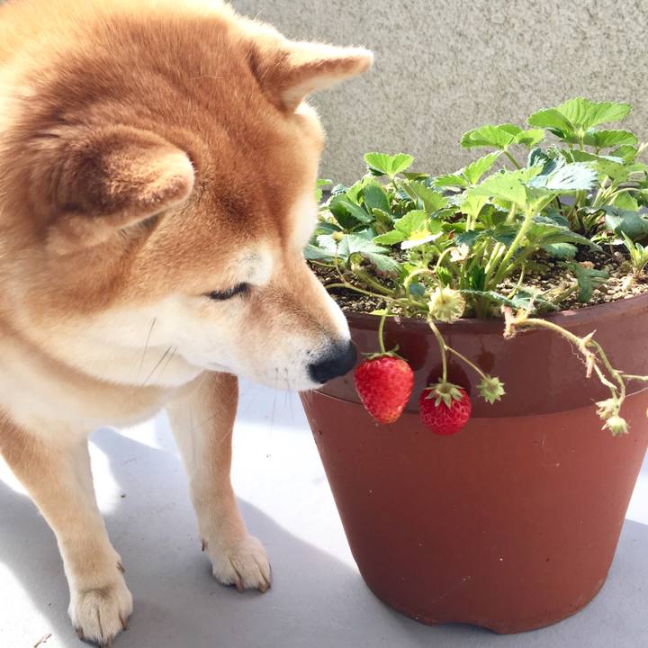 52ad828f 62e8 4da4 9516 ff4c516b8d12 1555206355913