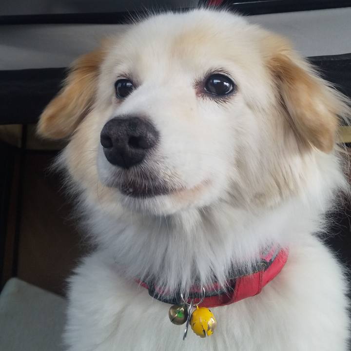 52adc4f2 45f2 479f 812a 269817cf6993 1638875195626