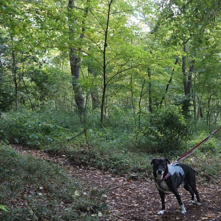 52ae2b00 611b 4f1d b2f6 69df6864a745 1762042061780