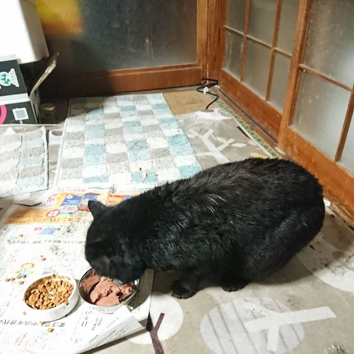 52ae30bb d912 4c0d 9bef 37032a3f6e65 1648121750027