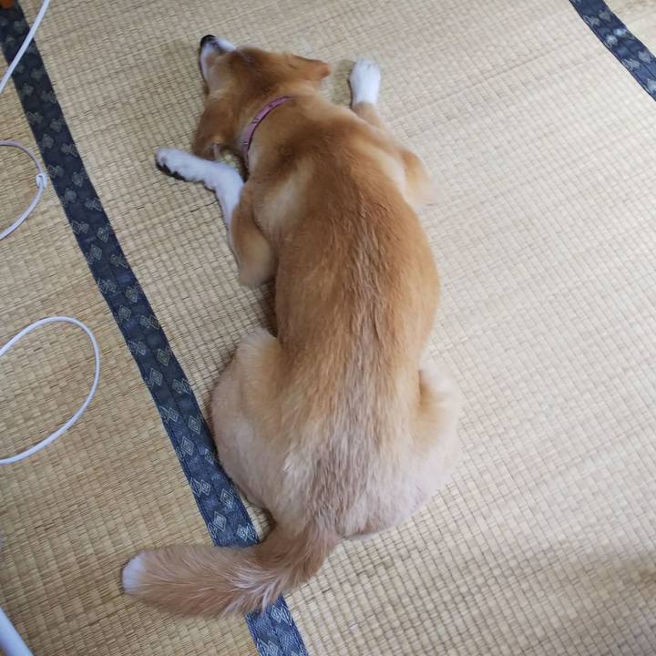 52ae664e d109 43bc 9190 b68e068fe380 1551925448071