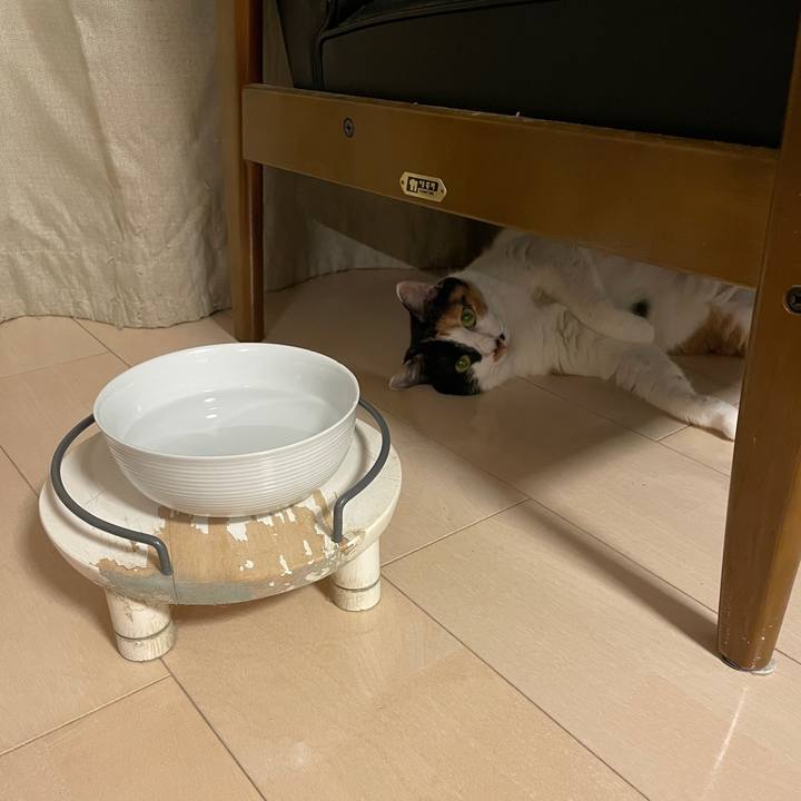 52ae77dd eaf8 4faa 9ba2 5d75127c4ee8 1755697230533