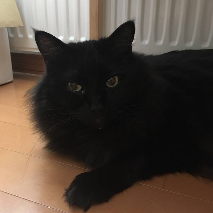 52ae8362 8fd2 45b2 bd64 f969b82e8359 1551416539905