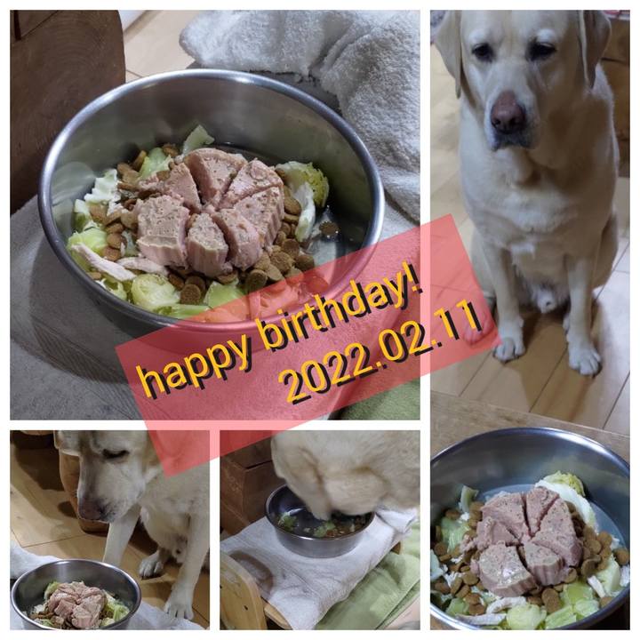 52aea363 5cba 4709 8440 7e996e3be6ab 1645353216218