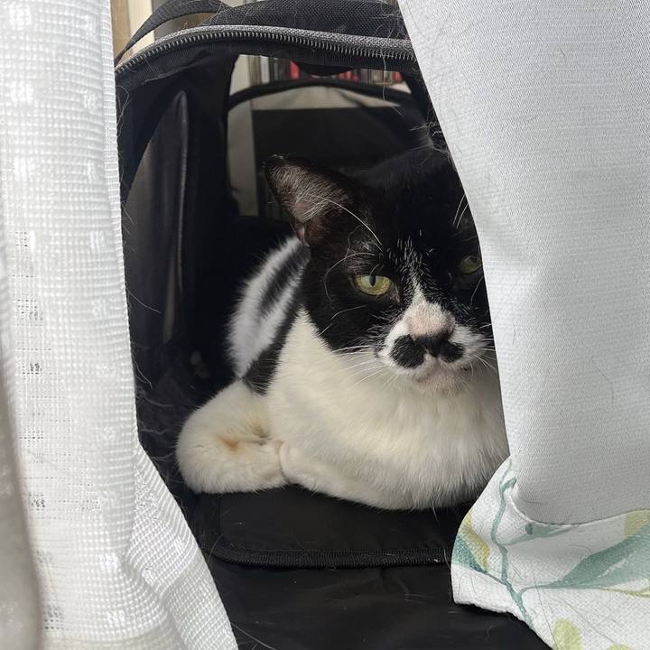 52aed28d c8da 4644 b252 bd51bbc4646c 1688434859848