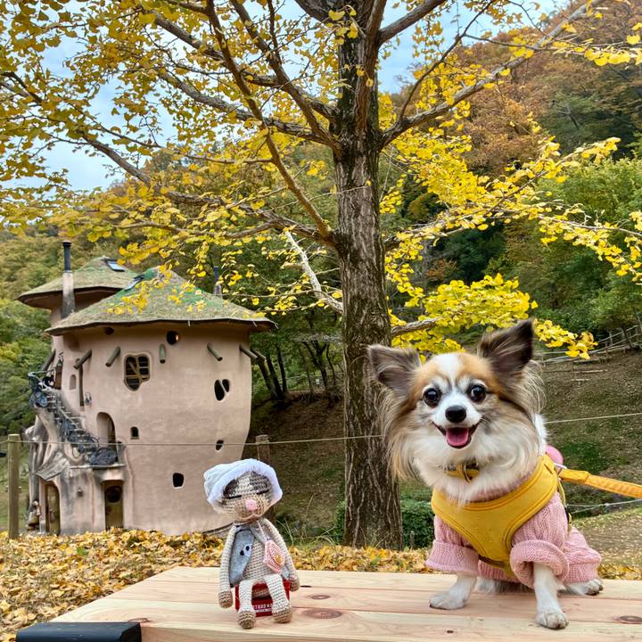 52aee5c0 c13d 4f94 a491 eadc9f770f32 1763271456332