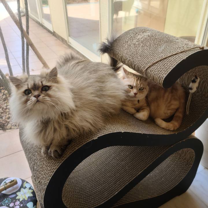 52aeebaf 4056 44a2 b278 7a9a7f8229aa 1645847137453