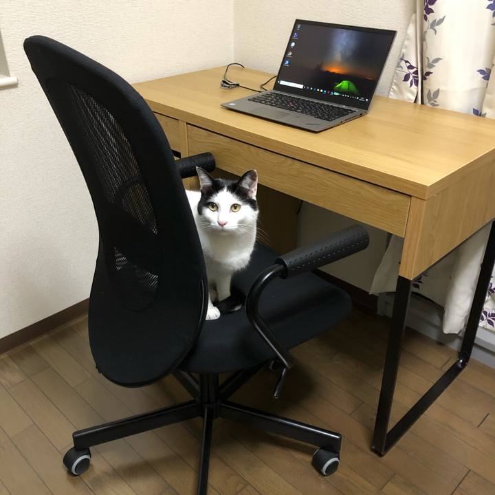 52af03eb 4d7f 4007 8fbb 85ce4deec26d 1587299200327