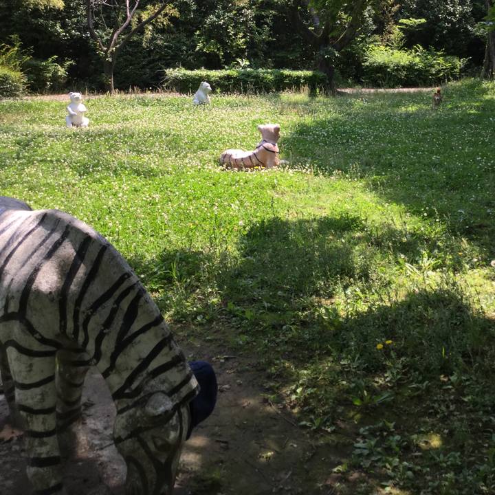 52af06a0 4c23 4448 ae8b f29c6f2b0eb6 1623297087956