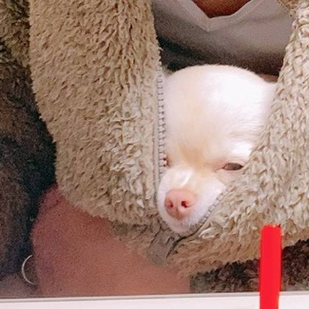 52af17d6 a09a 4592 89ed 1e9fb61bb13d 1611178846977