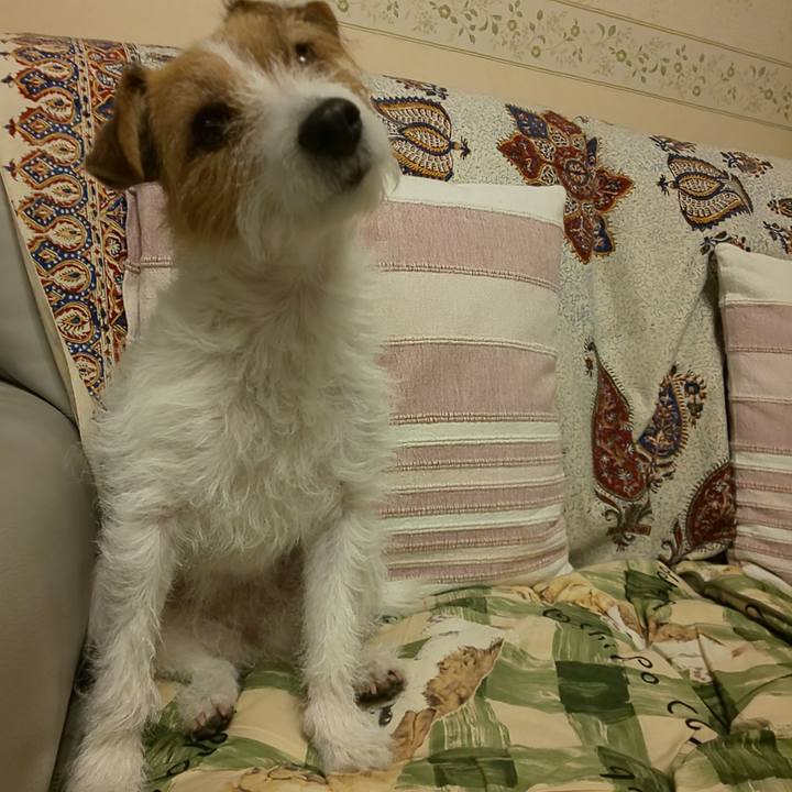 52af54f2 358c 4208 b872 a70a4da97c06 1640867312986