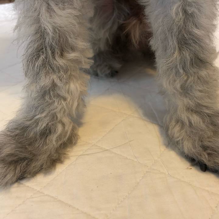 52afc348 beb8 4778 9695 e0e14ae477e3 1595202615413