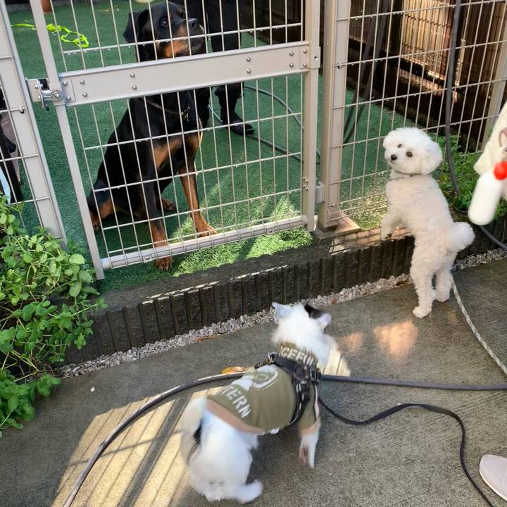 52aff1f7 2b00 409b a027 95bae7d492cc 1732667264083