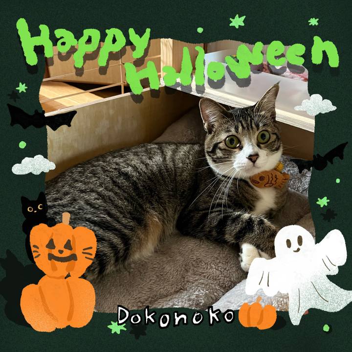 52aff894 e72c 4daa b74f 073b33140b6f 1729046915947