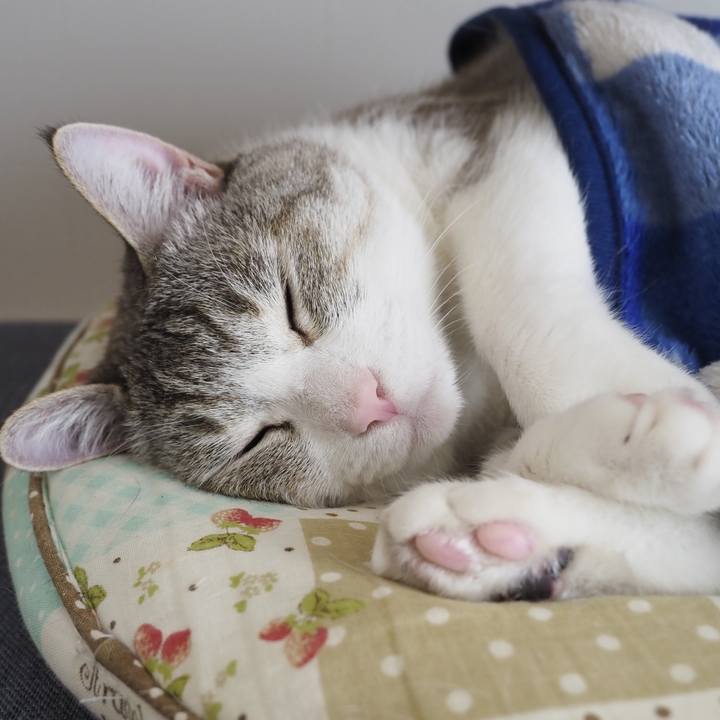 52b013d9 d2e8 43f4 bafa 0336dd2e2fef 1651978999618