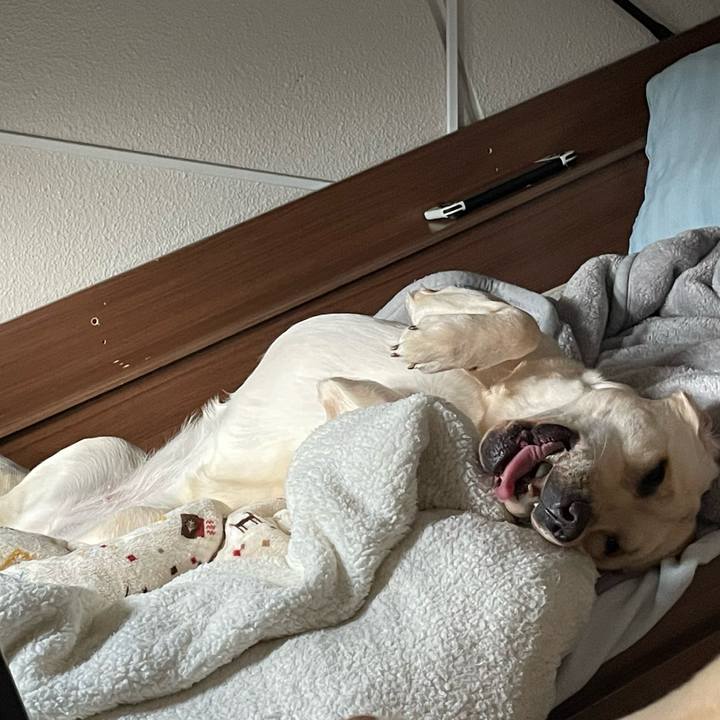 52b016f5 c237 44f4 adf2 044f832e0cdb 1644924347323