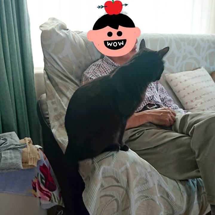 52b0a068 600d 412a 8f72 c1b9c3d1311a 1600479743020