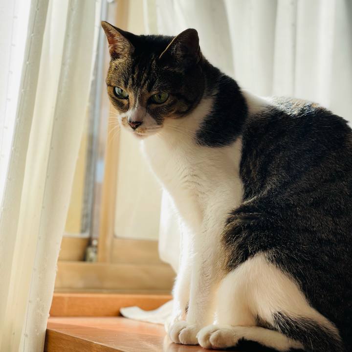 52b0a699 5d78 444b ae55 5738a934926b 1603848440064