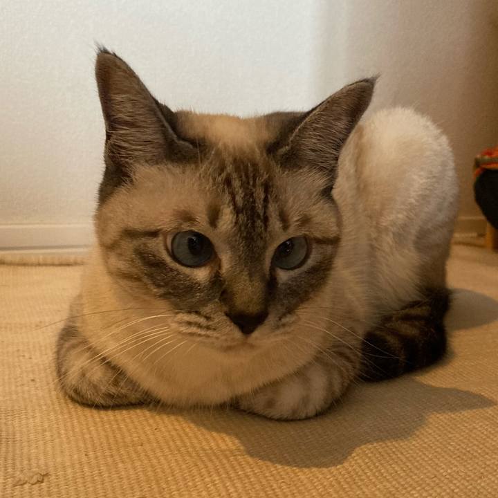 52b0c430 c316 4719 80fa 0f1d08a7bb23 1594436280634