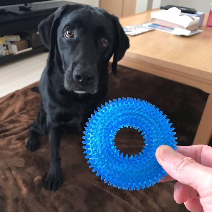 52b1276a 4502 4950 993f f030266902a3 1584935200912