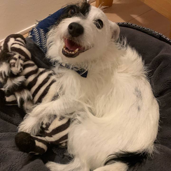 52b146e1 4d9f 48bc 9109 313591cf49c8 1664890159246