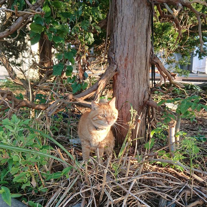 52b14b4f 550f 42c1 b499 9e317e1329f5 1662931447478