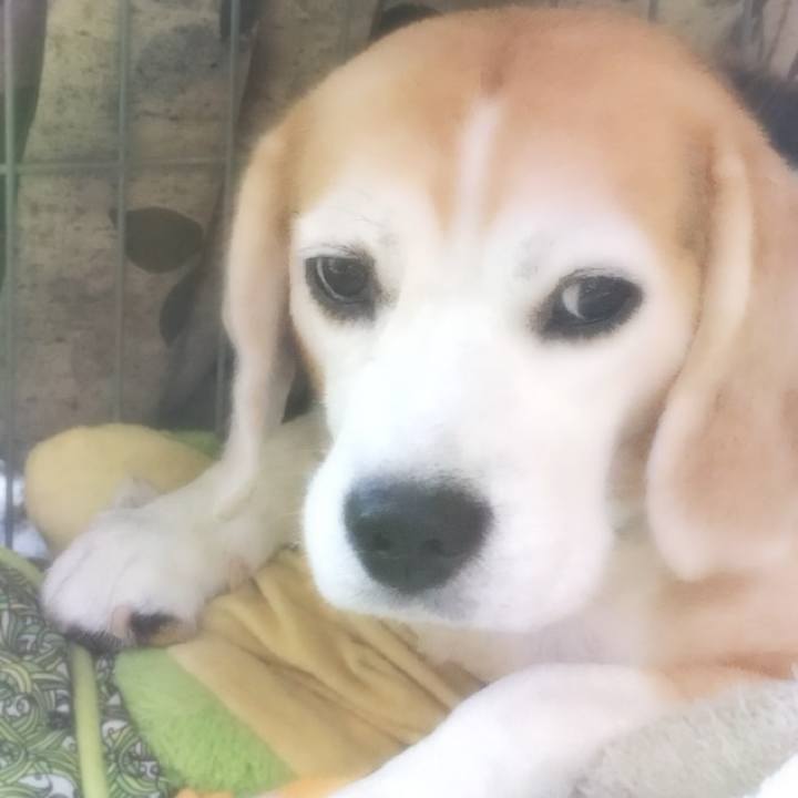 52b14b78 b41c 4591 8368 3cb1b1a6364c 1727828622940