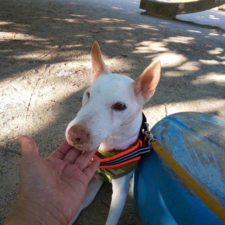 52b14dd4 a924 4029 b487 9bf57851fdb9 1570405213691