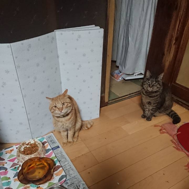 52b16e46 e699 4975 b105 e8faaf55f9c5 1654169209745