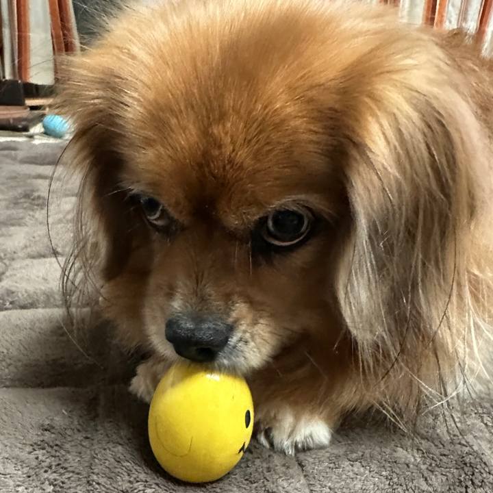 52b188e4 1397 41ef 842a 5853d4298f96 1761254720537