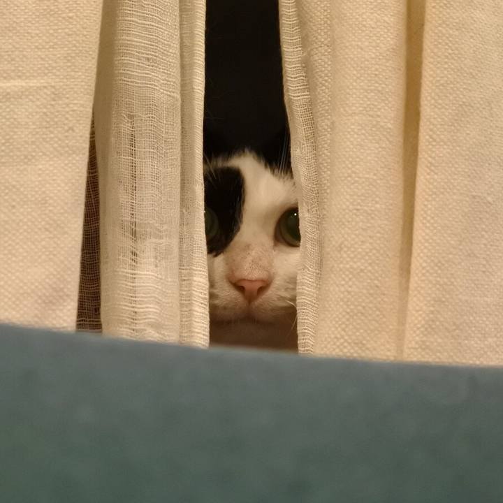 52b1c2a0 ddd3 46a0 b7c8 85813c73d848 1568191096930