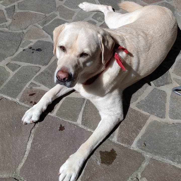 52b1fd18 fbe7 4a41 b4e5 cc69e4128508 1601434553997