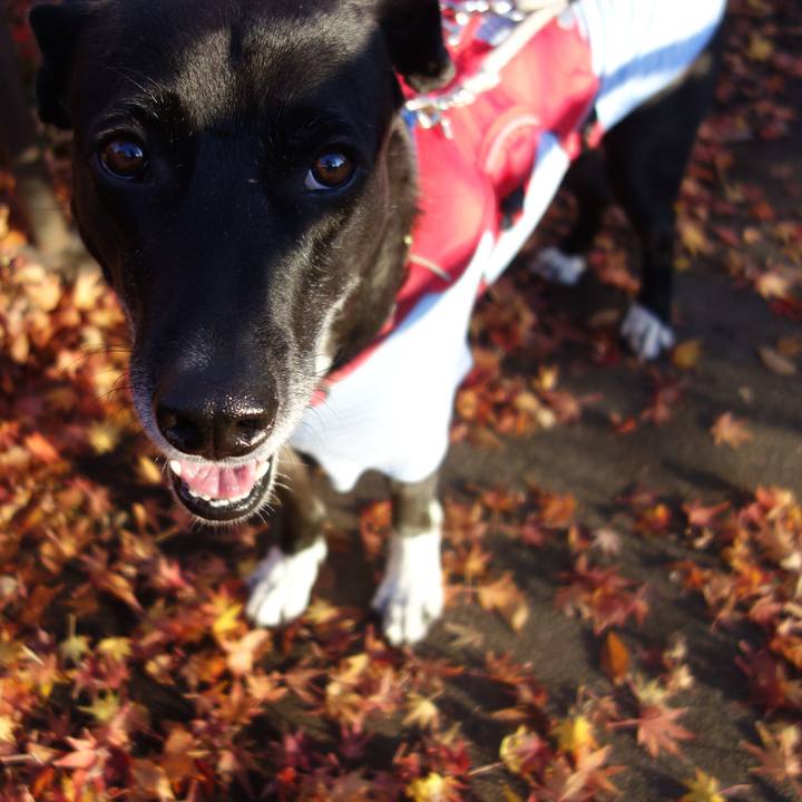 52b203a7 3c93 45d0 a9d9 fd462290e3f1 1671754786437