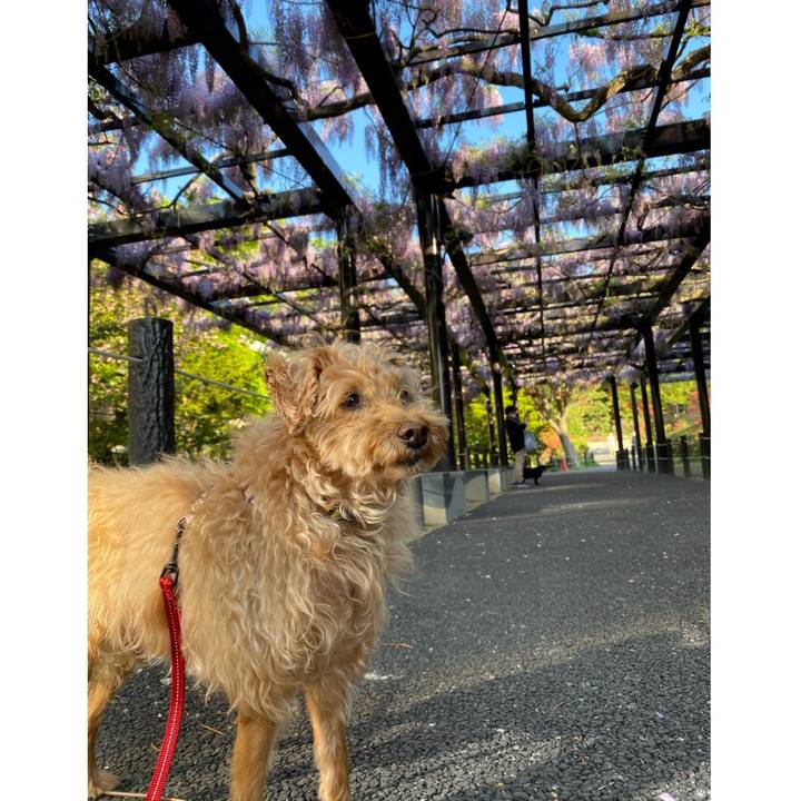 52b20491 a336 4602 8507 5e9270131d22 1652863370947