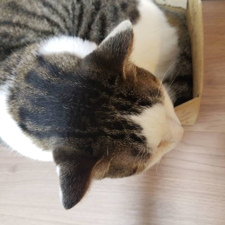 52b253f9 3157 46eb bc70 7f7f99803529 1593726115406