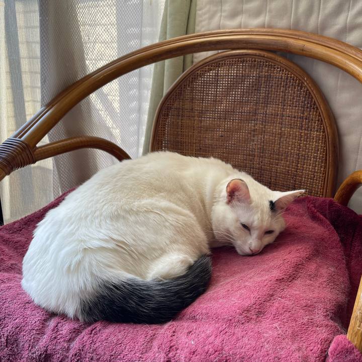 52b27d26 bd70 4509 8512 9b0764e804cb 1710044504638