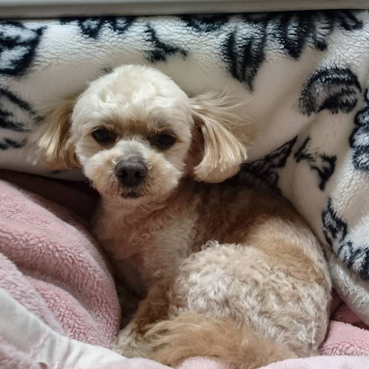 52b27d55 d03b 4661 bfb9 fed3bf055c17 1583577165190