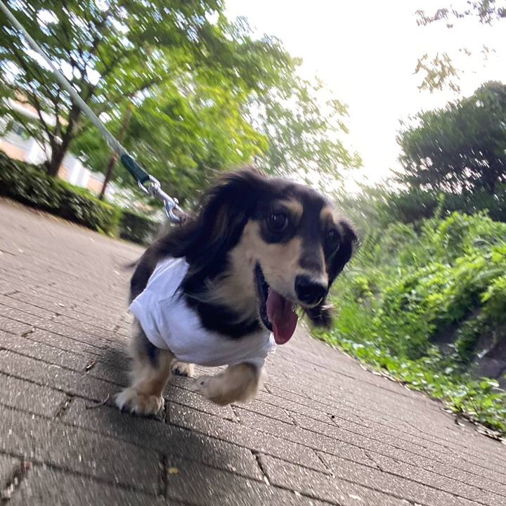 52b2a751 df87 44ef 8738 8b8b73d06172 1753918653126