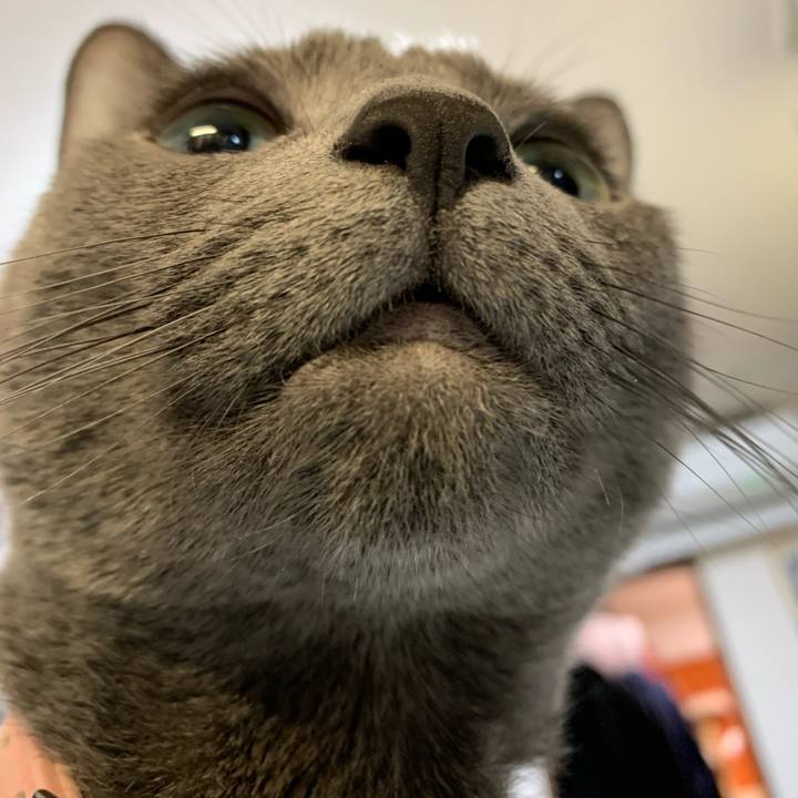 52b2d421 0a30 4f2e 9191 cd153ef39f75 1582024604096