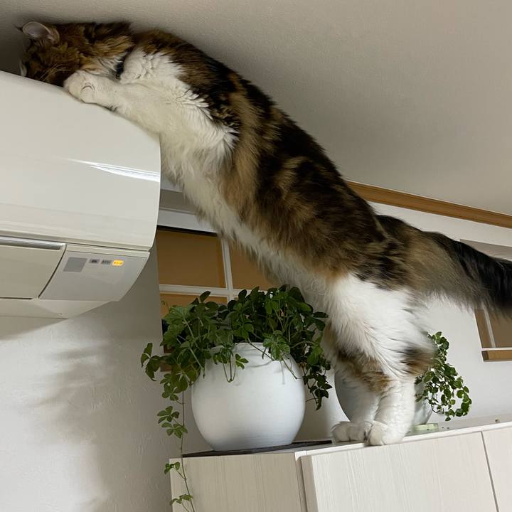 52b30cc4 46a1 4261 b178 accce9914f01 1657717187076