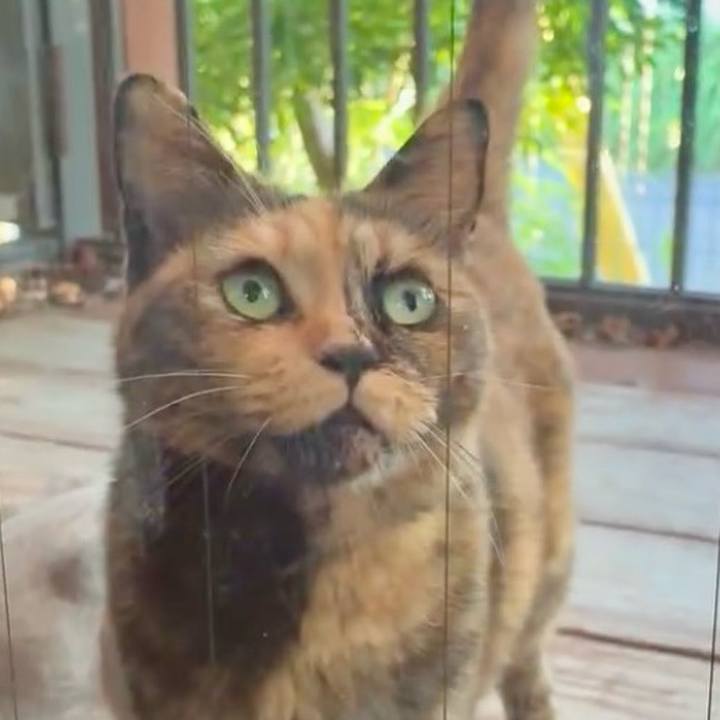 52b31812 6802 4f8f 90d3 e16fcaa86460 1753868990604