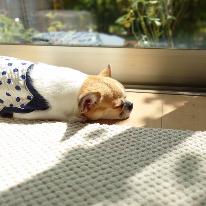 52b31ed3 4518 408b acad aa9500dfc97c 1662268169083